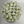 Load image into Gallery viewer, White tulips bouquet