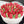 Load image into Gallery viewer, Small Red Tulip