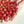 Load image into Gallery viewer, Small Red Tulip