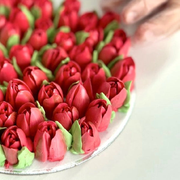 Small Red Tulip