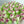 Load image into Gallery viewer, Small Pink Tulips