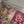 Load and play video in Gallery viewer, 22 pink flowers set
