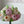 Load and play video in Gallery viewer, Peony’s Cake