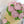 Load and play video in Gallery viewer, Roses Cake