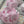 Load and play video in Gallery viewer, Large pink peony