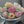 Load and play video in Gallery viewer, Peony’s Cake