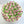 Load image into Gallery viewer, Small Pink Tulips