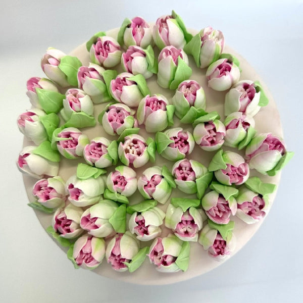 Small Pink Tulips