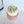 Load image into Gallery viewer, Small Purple Tulip
