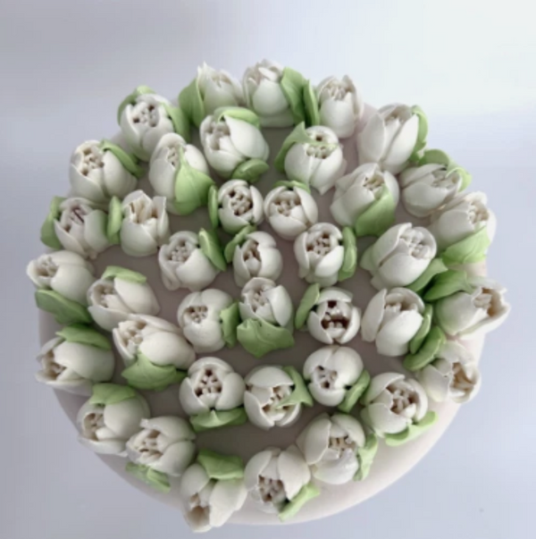Small white tulip