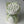 Load image into Gallery viewer, White tulips Delicate_bouquet
