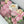 Load image into Gallery viewer, Blush Flowers - Classic Window Box
