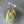 Load image into Gallery viewer, Large Tulip - Clear Bag
