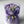 Load image into Gallery viewer, Purple Tulips small_bouquet
