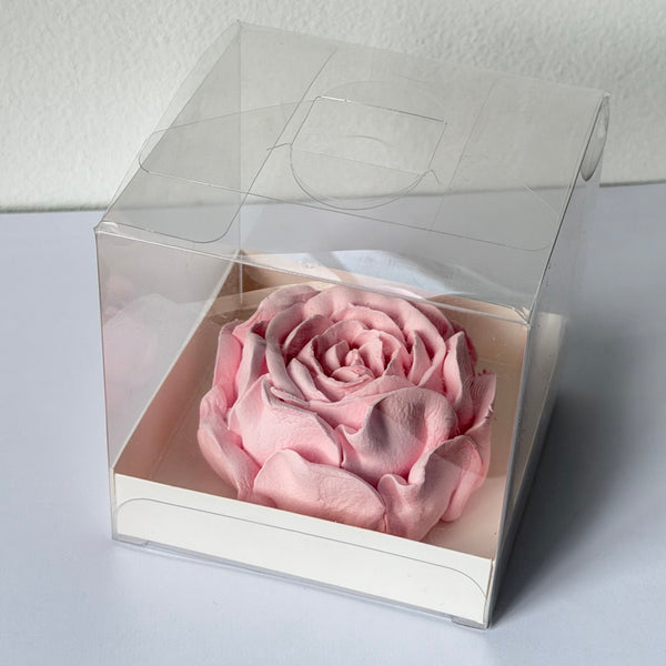 Large Peony - Clear Box
