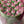 Load image into Gallery viewer, Pink tulips Large_bouquet
