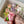 Load image into Gallery viewer, Tulips mix - 6inch
