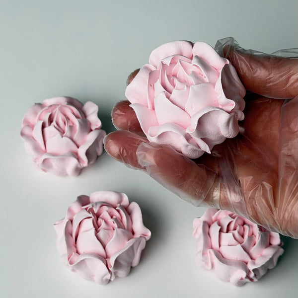 Camellia-blush pink