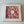 Load image into Gallery viewer, Tulips pink - 8inch
