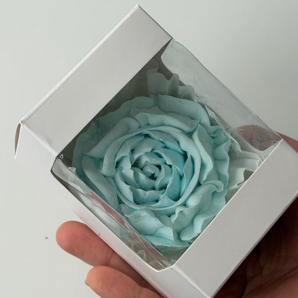 Large Peony - Window Box