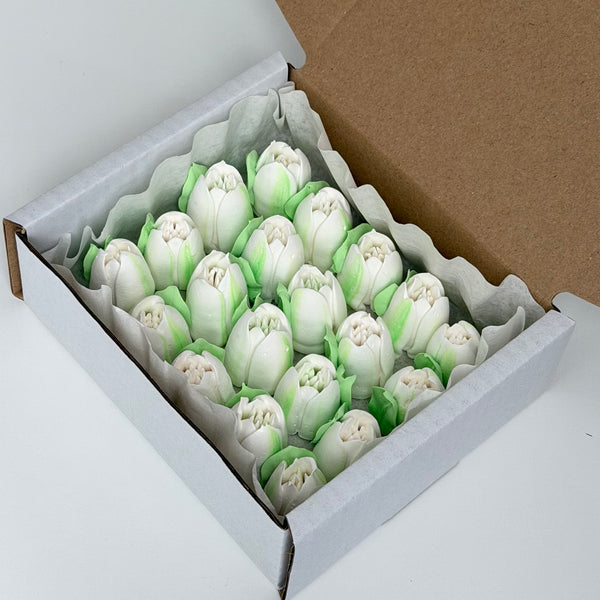 Small Tulip - pure white