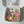 Load image into Gallery viewer, Tulips mix - 6inch
