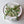 Load image into Gallery viewer, Delux tulips - white
