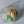 Load image into Gallery viewer, Large Tulip - Clear Bag
