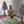 Load image into Gallery viewer, Sweet marshmallow table with Cake

