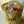 Load image into Gallery viewer, Mix tulips Gold Large_bouquet
