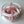 Load image into Gallery viewer, Delux tulips - pink
