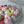 Load image into Gallery viewer, Mix tulips box
