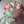 Load image into Gallery viewer, Mix flowers Small_bouquet
