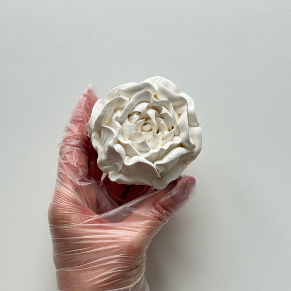 Large Peony - pure white