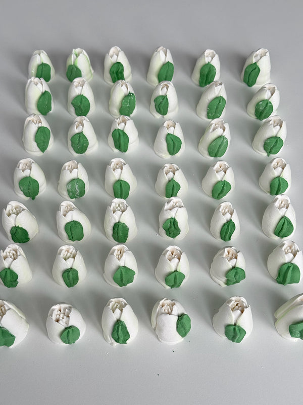 Small Tulip - pure white