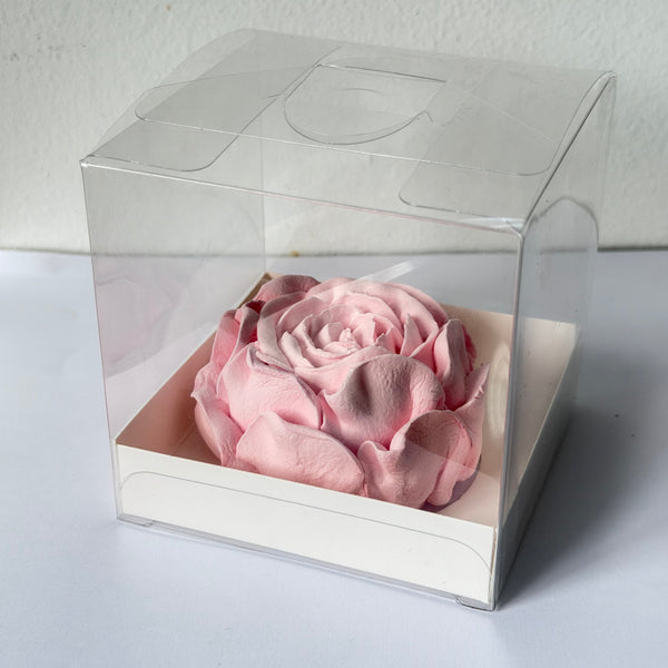 Large Peony - Clear Box