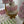 Load image into Gallery viewer, Sweet marshmallow table with Cake
