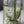 Load image into Gallery viewer, White tulips Small_bouquet
