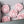 Load image into Gallery viewer, Camellia-blush pink
