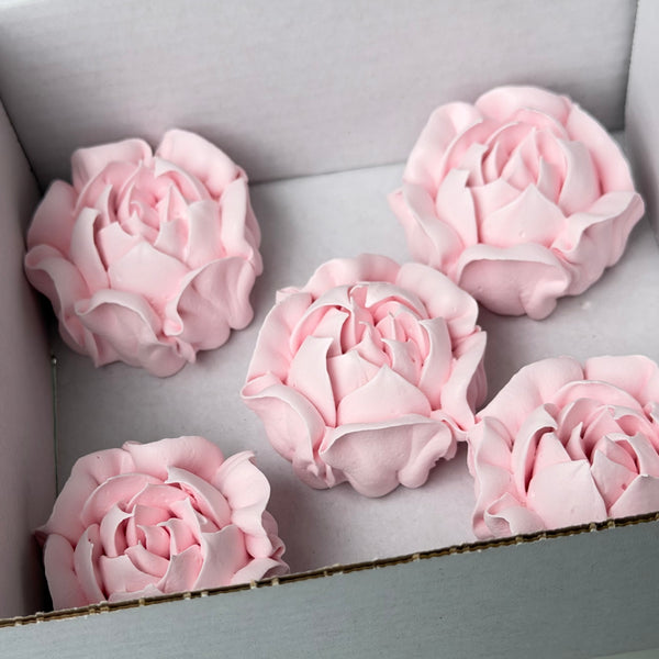 Camellia-blush pink