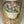 Load image into Gallery viewer, Tulips Gold small_bouquet
