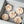 Load image into Gallery viewer, Camellia-ivory
