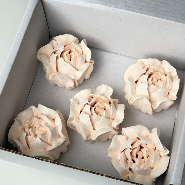 Camellia-ivory