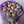Load image into Gallery viewer, Purple Tulips small_bouquet
