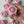Load image into Gallery viewer, Small Rose - blush pink
