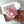 Load image into Gallery viewer, 'Florina' - small pink
