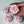 Load image into Gallery viewer, Camellia-blush pink
