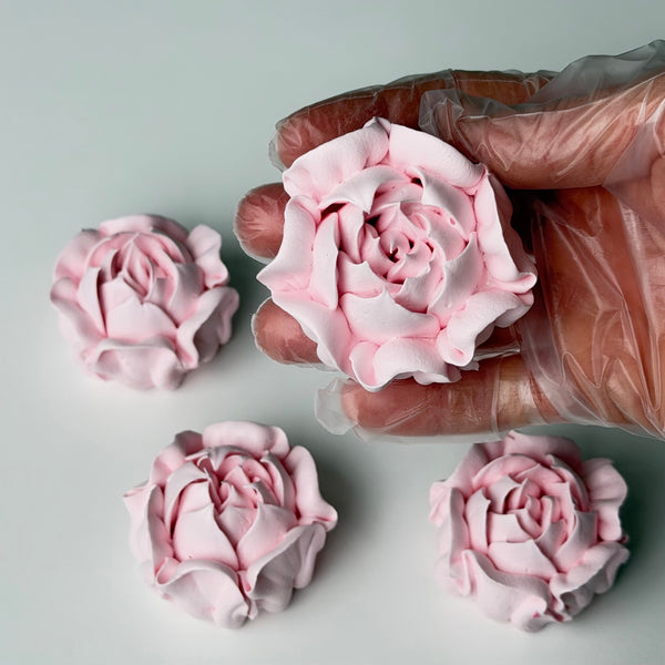 Camellia-blush pink