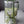 Load image into Gallery viewer, White tulips Small_bouquet
