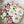 Load image into Gallery viewer, Flowers Blush - 8inch
